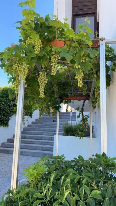 Villa En Oropesa Oropesa del Mar Ngoại thất bức ảnh